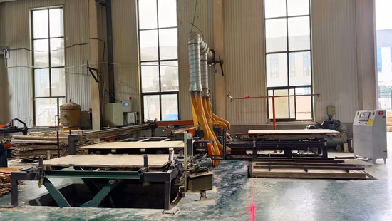 Plywood Four Edge Cutting Saw and Putty Machine Line