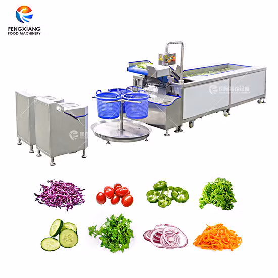 Fruit Washing Machine Vegetable Processing Line
